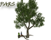 ~PRS~ Love Trees 5 Pose