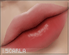 Lips Stain 1 | Scarla