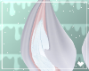 兎. Grams | Ears