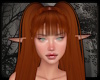 +Blooming Tails - ginger