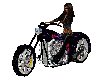 [JD]Harley D Chopper4