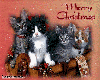 4 Kittens MerryChristmas