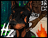 hz Doberman Av.
