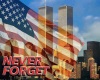 9/11 Never forget filler