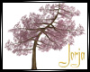 [JSA] Sukura Tree
