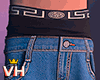 Ripped VH Pant 1/3
