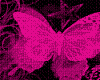 (K)Pink Butterflies