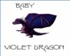 Baby Violet Dragon