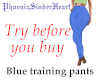 Blue training pants