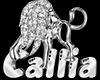 Callia Custom Chain