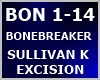 SULLIVAN K x EXCISION-BO