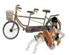 Fancy Bicycle Built For2