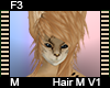 F3 Cat Hair M V1