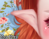 Cute Elf/Fairy Ears