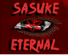 Sasuke Eternal