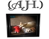 (A.H.) My Gracie