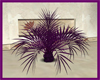 (LIR) ANUK Purple Palm.