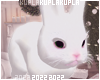 Bunny Pet Animated  F