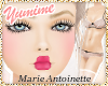 [Y] Marie Antoinette