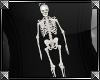 [xx]Mr.Bones Necklace