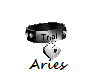 Aries trial collar