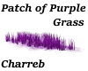 !Patch of Purple Grass