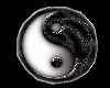 Yin Yang Animated