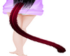 claret cat tail neko