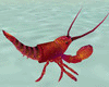 ~R~ Ocean Red Lobster