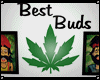 Best Buds Cheech & Chong