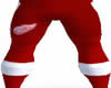 CJ69 Red Wings Pants