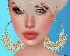 Earrings Diamond / Gold