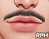 🏵️ Mustache Black