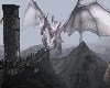 !! Dragon Ruins