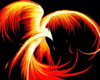 phoenix of fire