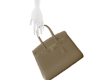 birkin bag
