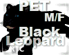 R|C Black Leopard M/F