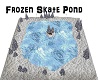 Frozen Skate Pond