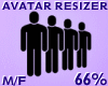 Avatar Resizer 66%