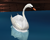 Animated Swan club