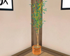 plante bambou