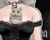 𝖔 my rat