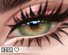 K|Soft - Hazel Eyes F