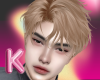 K. Damien Blonde