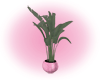 *K* Pink Potted Plant