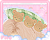 ʚ bearie cute beret ɞ