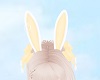 Bunbun ears â Honey