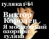 ViktorKorolev-Gulyaka RU