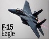 F-15 FIGHTER JET