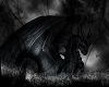 Dark Dragon